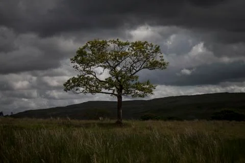 Alone with everything 写真素材