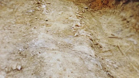 Alone in the forest - Sci-fi horror drama docu footage Stock Footage 129072961