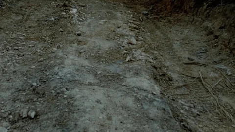 Alone in the forest - Sci-fi horror drama docu footage Stock Footage 129072969