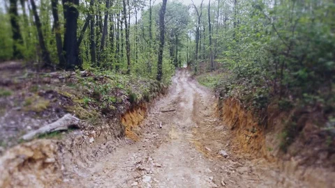 Alone in the forest - Sci-fi horror drama docu footage Stock Footage 129072970