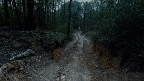 Alone in the forest - Sci-fi horror drama docu footage Stock Footage 129072979