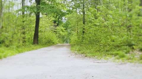 Alone in the forest - Sci-fi horror drama docu footage Stock Footage 129073025