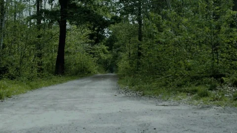 Alone in the forest - Sci-fi horror drama docu footage Stock Footage 129073034