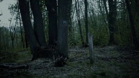 Alone in the forest - Sci-fi horror drama docu footage Stock Footage 129073086