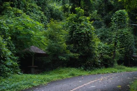 Alone hut Stock Photos