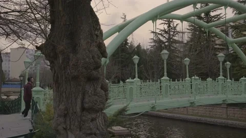 Alone Man Cross The Green Bridge Stock Footage 234560099