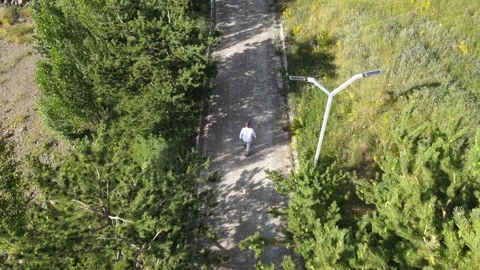 Alone man walking forest Video stock 240741890