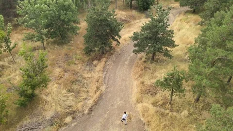 Alone man walking forest Stock Footage 240766345