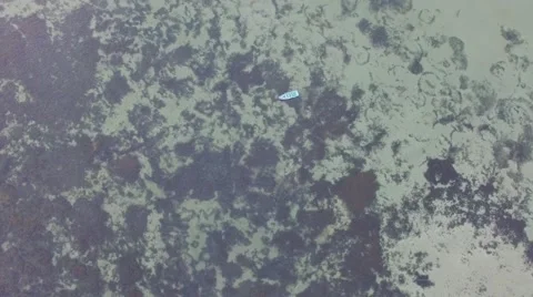 Alone in the ocean and happy Stock-Footage 68323850