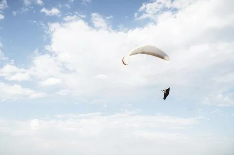 Alone paraglider flying in the blue sky against the background of clouds. 库存照片