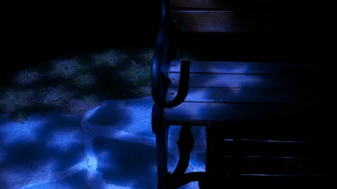 Alone park bench with lights in night. Stock Footage 232959926