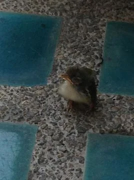 Alone Fotos de archivo