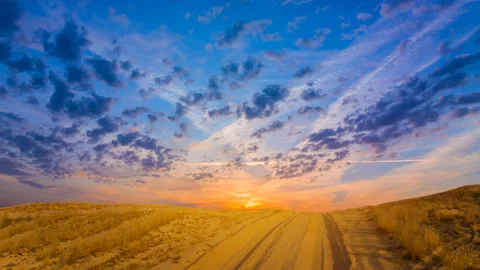 Alone pine tree near the road in the sandy desert at the twilight Stock Footage 243666105