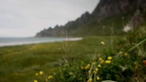 Alone at sandy beach in mountains Stock Footage 126000310