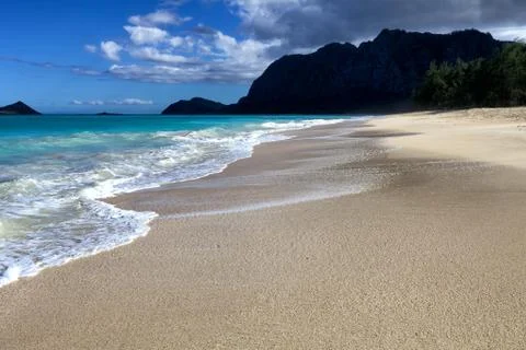 Alone at the sandy beach 库存照片