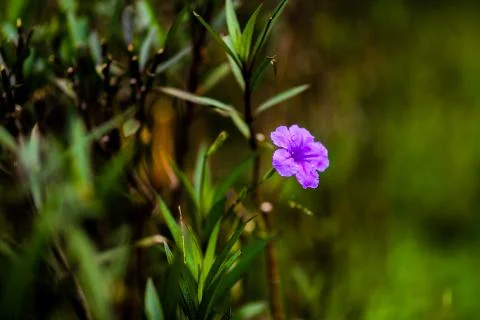 Alone with stranger Foto stock