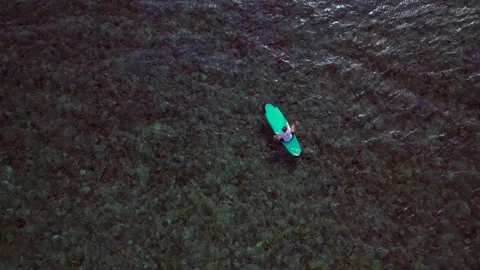 Alone surfer paddling on clear tropical water. Magic aerial view drone Stock Footage 344574164