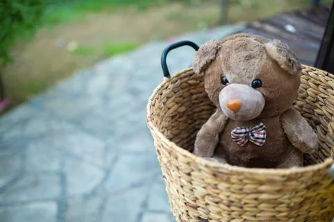 Alone sweety bear in the basket Stock Photos
