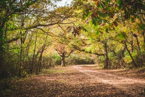 Alone on the trail 写真素材