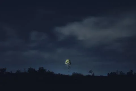 An alone tree in night Stock Photos