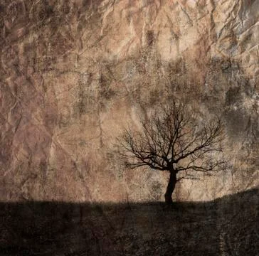 Alone  tree Stock-Fotos