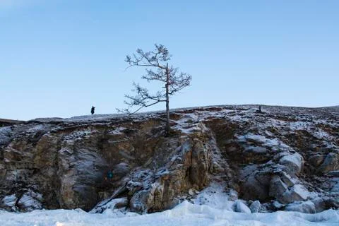Alone tree in winter on cliff, landscape image, landscape photography 写真素材