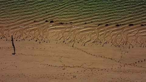 Alone walking on the beach on sunset long shadows Stock Footage 156431068