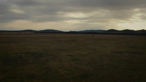 Alone walking on field in beautiful sunset Stock Footage 232628824