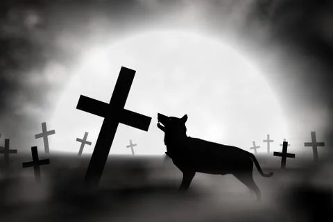 Alone wolf Stock Illustration