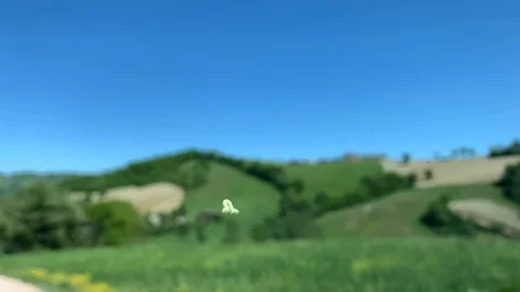 Alone worm on the windshield with natural background Stock Footage 129693968