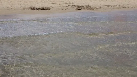  along the beach Stock Footage 76189350
