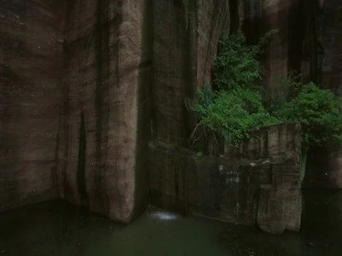 Up along the cliff, from the pond to the treetops 스톡 동영상 71500431