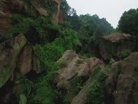 Along  cliffs above  rainforest Stock-Footage 71500407