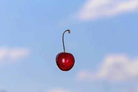 Along falling red cherry on the blue sky background Stock Photos