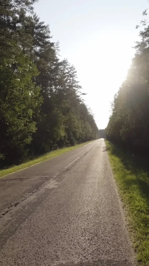 Along the forest road towards the sun Stock Footage 317320850
