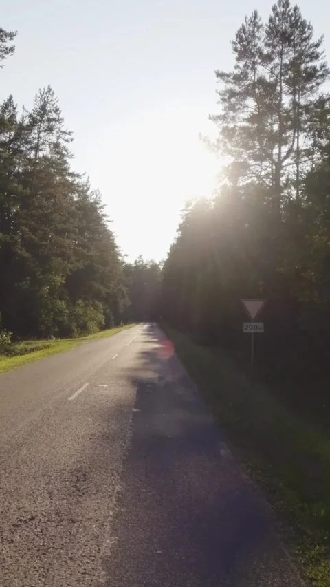 Along the forest road towards the sun Stock Footage 317320999