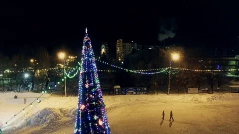 Along the garland to the tree Video stock 100899279