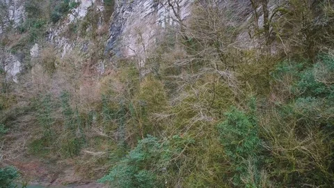 Along the high cliff 스톡 동영상 84772150