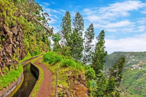 Along the levada, madeira Stock Photos