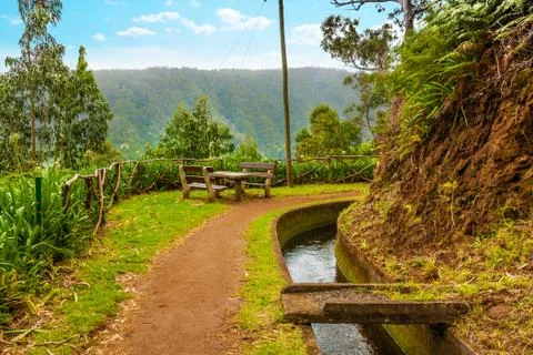 Along the levada, madeira Stock Photos
