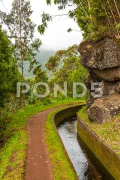 Along the levada, madeira Stock Photos