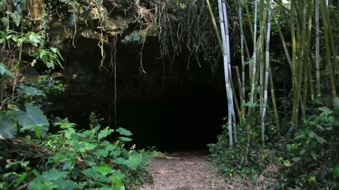 Along the path in the jungle deep into the cave Vidéo 74170907