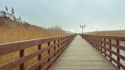 Along the promenade Stock Footage 67463759