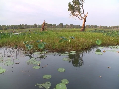 ALONG RIVER BANK Stock Footage 100417517