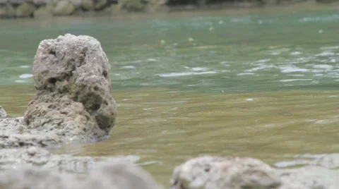 Along the river Stock Footage 737692