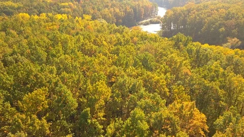 Along the river Stock Footage 96349950