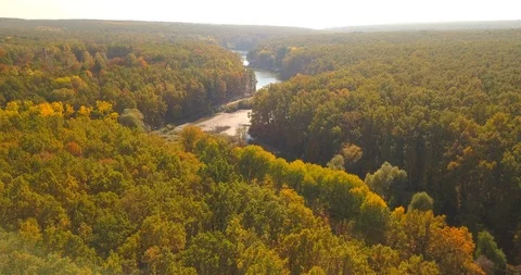 Along the river Stock Footage 96350729