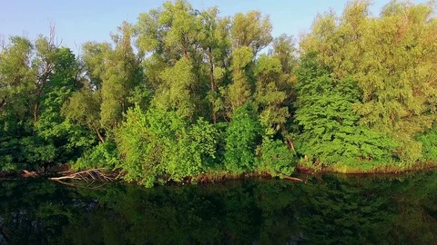 Along the riverbank Stock Footage 98652390