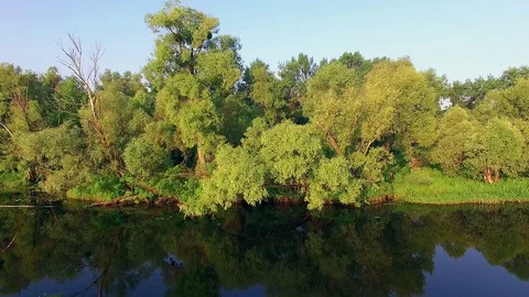 Along the riverbank Stock Footage 99933645