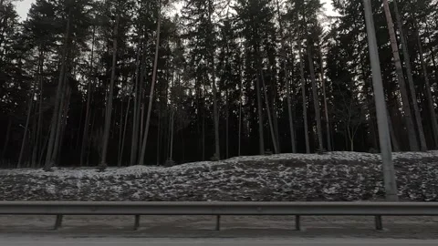 Along the road, winter roadside view, view from the car window. Snow winter day. Stock Footage 340238807